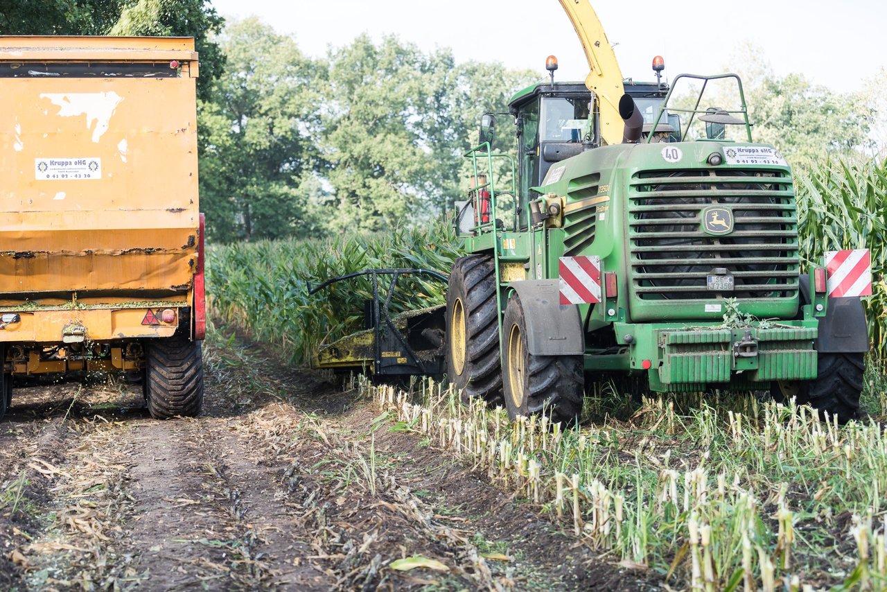 Bild 220 - Maisernte